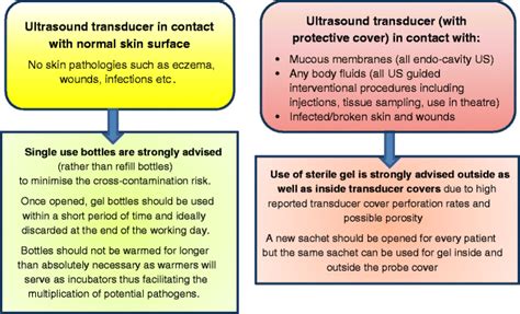 Infection Prevention And Control In Ultrasound Best Practice