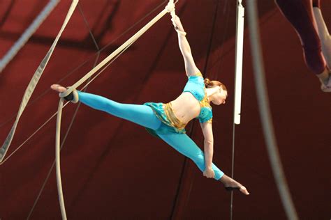 Information About Img 7158 Jpg On Fsu Flying High Circus