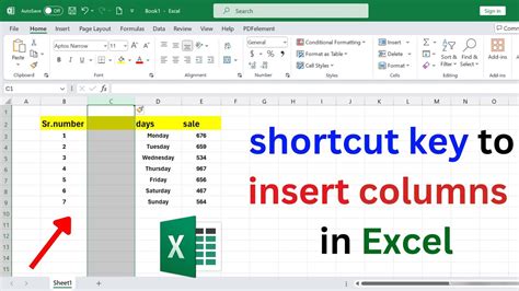 Insert Column Excel Shortcut Safasdirector