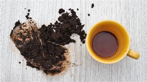 Instead Of Throwing Away Any Leftover From Freshly Brewed Coffee You
