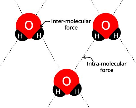Intramolecular vs Intermolecular Forces