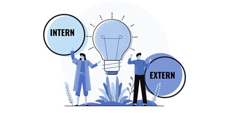 Intern vs Extern Difference Explained