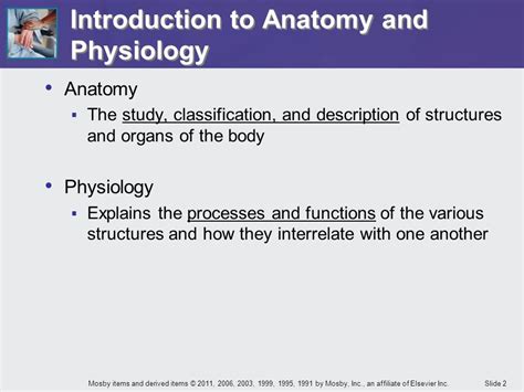 Introduction To Anatomy And Physiology Mosby Items And