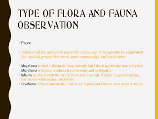 Introduction To Flora And Fauna Observation