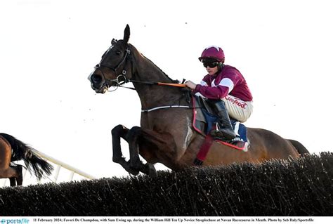 Irish Grand National Tips 16 1 Shot Could Win The Fairyhouse Showpiece Limerick Live