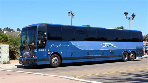 Is Greyhound Bus Safe Here S What To Know Values Bus Tour