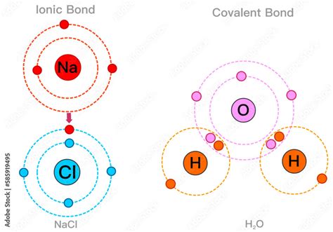 H2O: Ionic or Covalent Bond