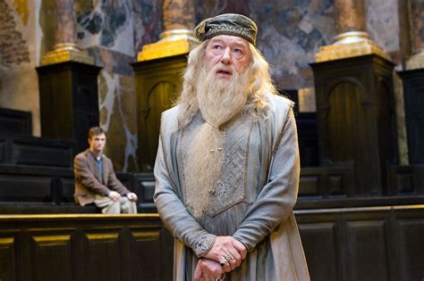 Is Professor Dumbledore Gay