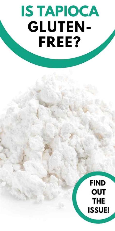 Is Tapioca Gluten Free Is Tapioca Flour Gluten Free
