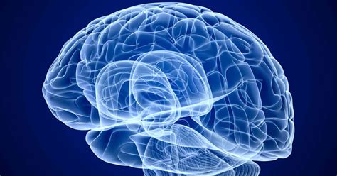 Is Your Brain A Muscle Houston Methodist On Health Is Your Brain A Muscle Houston Methodist On Health