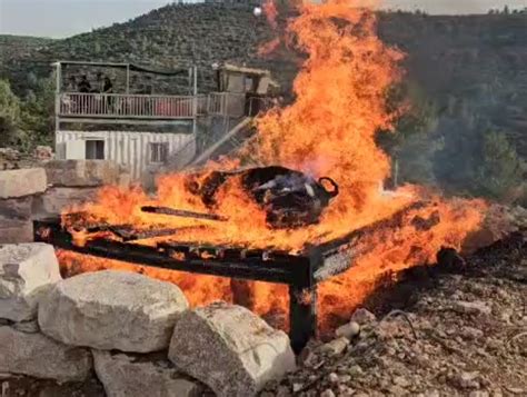 It S Happening On April 22 The Red Heifer Sacrifice During The Jewish Passover Preparations Are Being Made To Sacrifice An Unblemished Red Heifer On April 22Nd During The Passover On A Hill That