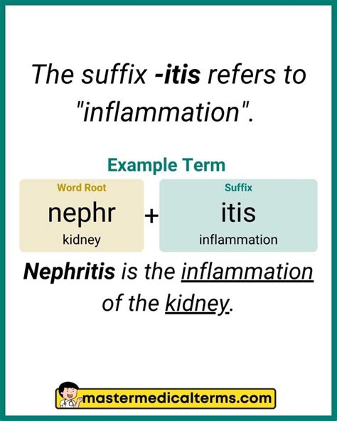 5 Ways Itis Suffix Means