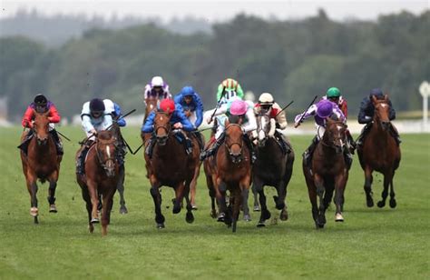 Itv Racing Tips Today 3 Best Bets From Ascot Haydock Newmarket Saturday S Shergar Cup Selection