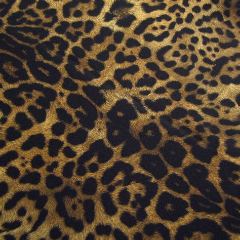 Elevate Your Style with Stunning Jaguar Print Fashion Trends