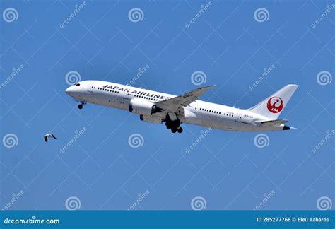 Japan Airlines 757 Dreamliner Stock Photo Image Of Diego Aviation Japan Airlines 757 Dreamliner Stock Photo Image Of Diego Aviation