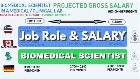 Job Role Salary Of A Biomedical Scientist In A Medical Lab Biomeducated