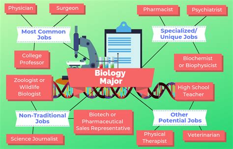 Jobs In The Medical Field For Biology Majors
