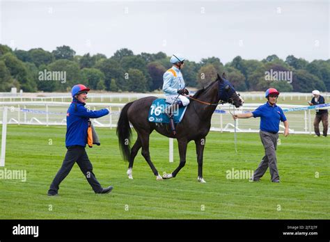 Jockey Jim Crowley On Revich At York Races Stock Photo Alamy Jockey Jim Crowley On Revich At York Races Stock Photo Alamy