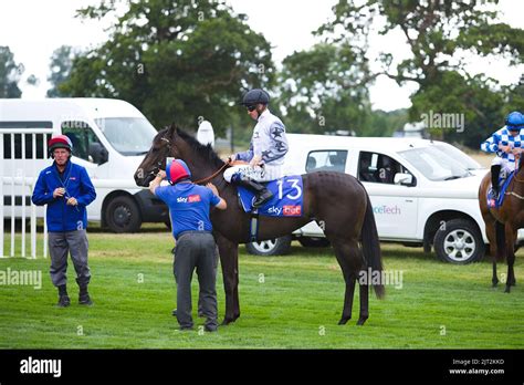Jockey Jim Crowley Riding Sweet Harmony At York Races Stock Photo Alamy Jockey Jim Crowley Riding Sweet Harmony At York Races Stock Photo Alamy