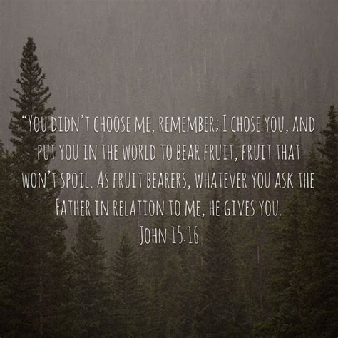 John 15 16 The Message Msg Be Not Dismayed Bible Apps I Choose You