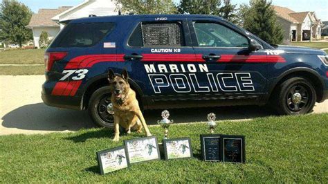 K 9 Officer Lingo Retires From Marion Police Department After Successful Career The Gazette