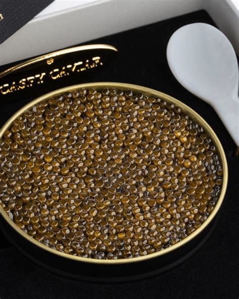 Kaluga Caviar A Prized Delicacy With Rich Flavor Caspy Caviar