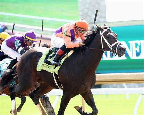 Kentucky Derby Maiden Watch Emerging Market Fast At Tampa Twinspires