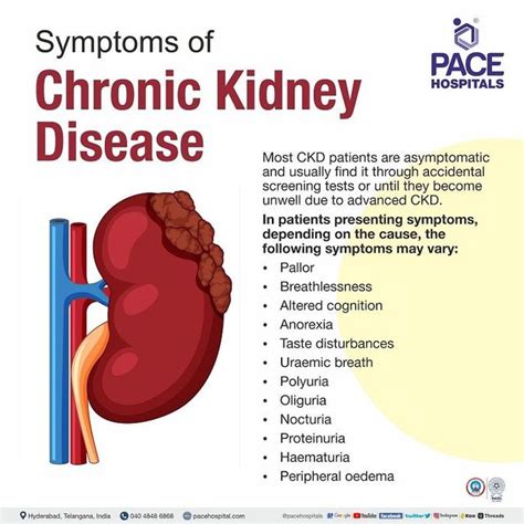 Kidney Disease Symptoms To Look For