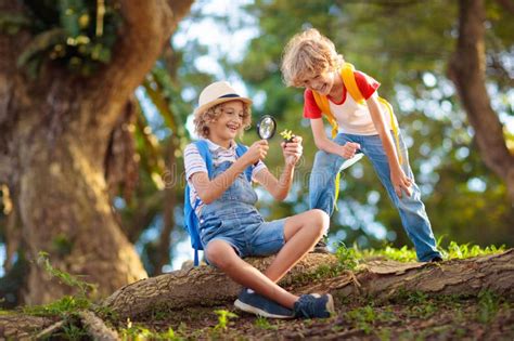 Kids Explore Nature Children Hike In Sunny Park Stock Photo Image Of Kids Explore Nature Children Hike In Sunny Park Stock Photo Image Of