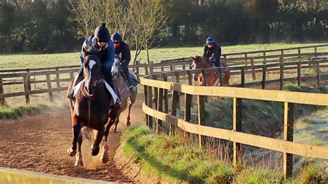 Kilcullen Diary Special Kilcullen Interest In Punchestown Kidney Race