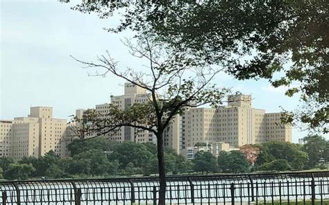 Kirby Forensic Psychiatric Center Randall S Island New York Ny