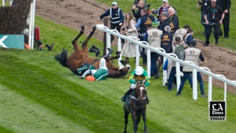 La Times Today Why Do Race Horses Keep Dying Los Angeles Times La Times Today Why Do Race Horses Keep Dying Los Angeles Times