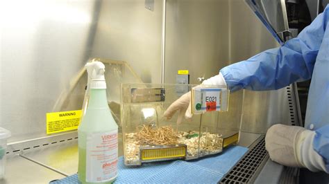 Laboratory And Research Safety Office Of Environmental Health And Safety