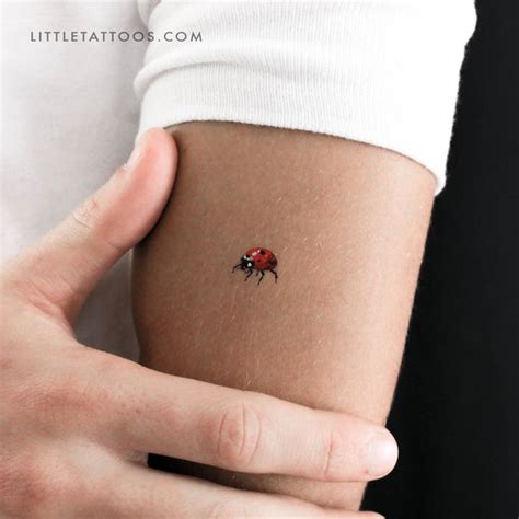Ladybird Temporary Tattoo Set Of 3 Ladybird Temporary Tattoo Set Of 3
