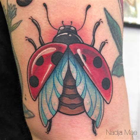 Ladybug Ornamental By Sahanatattoos Sahana Would Love To Do More Stuff Like This Plz Ladybug Bugtattoo Caymangirls Caymantattoos Caymantattooshop Bluedragontattoos345 Sahanatattoos Ladybug Ornamental By Sahanatattoos Sahana Would Love To Do More Stuff Like This Plz Ladybug Bugtattoo Caymangirls Caymantattoos Caymantattooshop Bluedragontattoos345 Sahanatattoos
