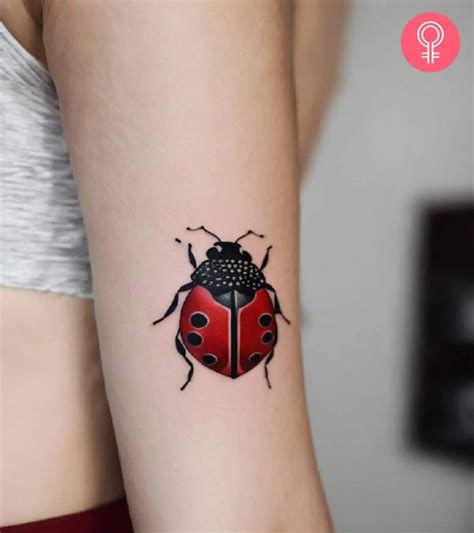 Ladybug Tattoo Meaning 8 Powerful Symbolism And Design Ideas Ladybug Tattoo Meaning 8 Powerful Symbolism And Design Ideas