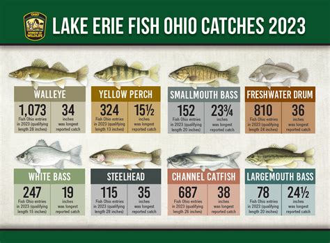 Discover the Best Lake Erie Fish Species and Fishing Tips