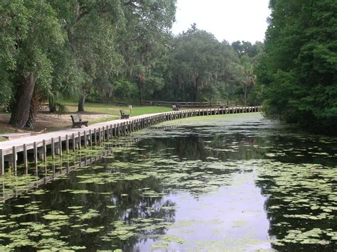 Lake Griffin State Park Florida Parks Visitor Guide