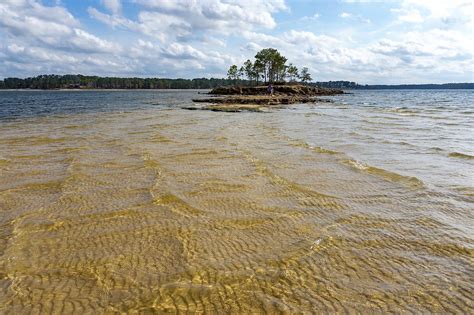 Lake Sam Rayburn Water Level