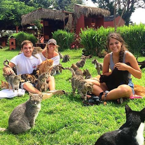 Lanai Cat Sanctuary Saving Cats Protecting Birds Hawaii