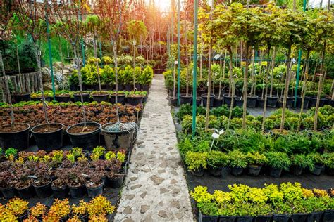 Landscape Nursery Products Flowers Plants Trees Bushes Short Hills Nj