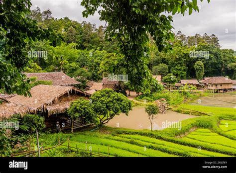 Landscape Of Rice Paddies And Buildings Located At Chiang Doa Five Hill