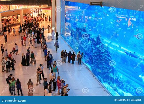 Largest Aquarium Of The World In Dubai Mall Stock Editorial Photo Bloodua 46367431