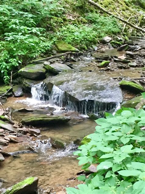 Laurel Fork Va Population At Lorenzo Marrs Blog Laurel Fork Va Population At Lorenzo Marrs Blog