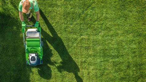 Lawn Maintenance James Wayne Properties Lawn Maintenance James Wayne Properties