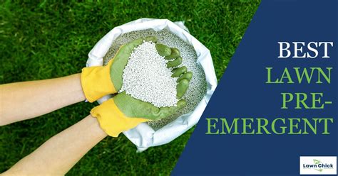 Lawn Pre Emergent