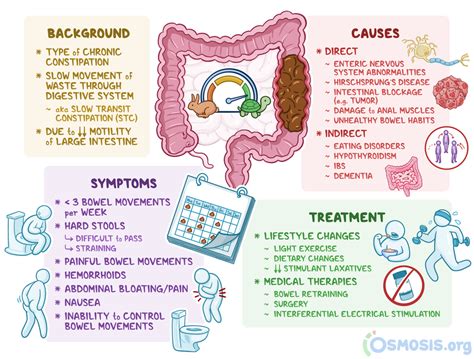 Lazy Bowel Syndrome What Is It Causes Treatment And More Osmosis Lazy Bowel Syndrome What Is It Causes Treatment And More Osmosis