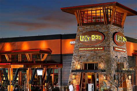 5 Ways Lazy Dog Restaurant