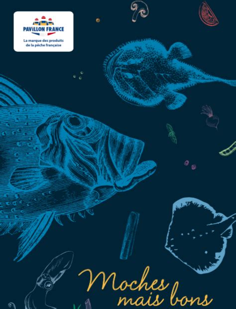 Le Fish Book Le Focus Sur Les 5 Poissons Moches Mais Terriblement Bons