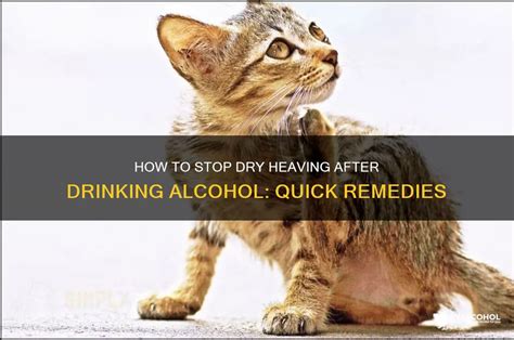 Learn How To Avoid Dry Heaving And Stop It With Home Made Remedies